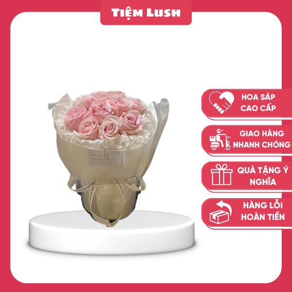 hoa-sap-thom-trang-tri