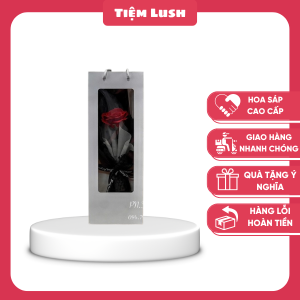 Túi giấy 1 bông ecuador đỏ đô