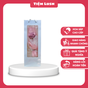 Túi Giấy Hoa Sáp 1 Bông Ecuador Nude